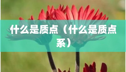 什么是质点（什么是质点系）