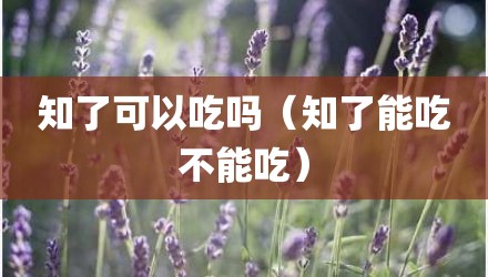 知了可以吃吗（知了能吃不能吃）
