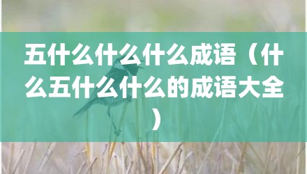 五什么什么什么成语（什么五什么什么的成语大全）