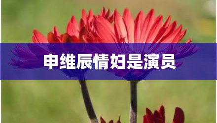 申维辰情妇是演员