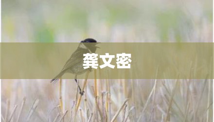 龚文密