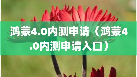 鸿蒙4.0内测申请（鸿蒙4.0内测申请入口）