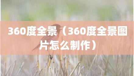 360度全景（360度全景图片怎么制作）