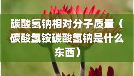 碳酸氢钠相对分子质量（碳酸氢铵碳酸氢钠是什么东西）