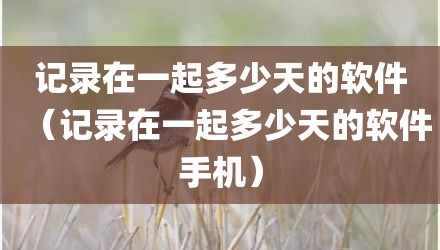 记录在一起多少天的软件（记录在一起多少天的软件手机）