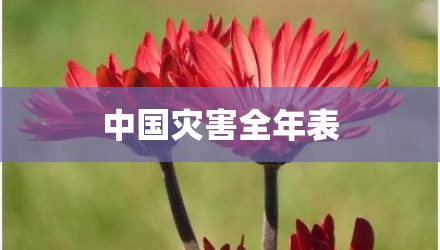 中国灾害全年表