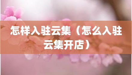 怎样入驻云集（怎么入驻云集开店）