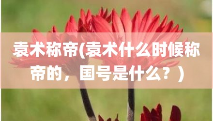 袁术称帝(袁术什么时候称帝的，国号是什么？)