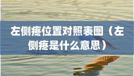 左侧疼位置对照表图（左侧疼是什么意思）