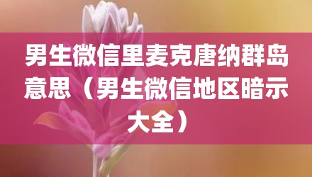 男生微信里麦克唐纳群岛意思（男生微信地区暗示大全）
