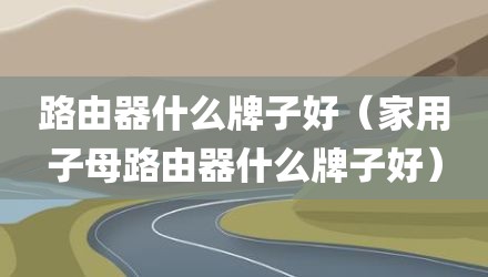 路由器什么牌子好（家用子母路由器什么牌子好）