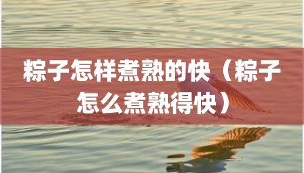粽子怎样煮熟的快（粽子怎么煮熟得快）