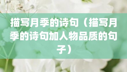描写月季的诗句（描写月季的诗句加人物品质的句子）