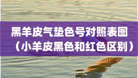 黑羊皮气垫色号对照表图（小羊皮黑色和红色区别）