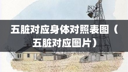 五脏对应身体对照表图（五脏对应图片）