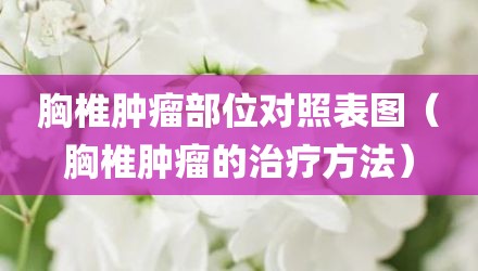 胸椎肿瘤部位对照表图（胸椎肿瘤的治疗方法）