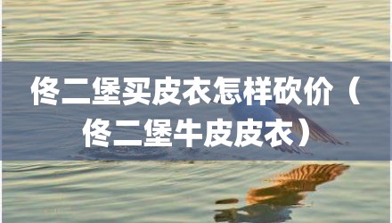 佟二堡买皮衣怎样砍价（佟二堡牛皮皮衣）