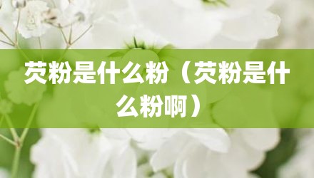 芡粉是什么粉（芡粉是什么粉啊）