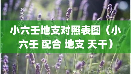 小六壬地支对照表图（小六壬 配合 地支 天干）