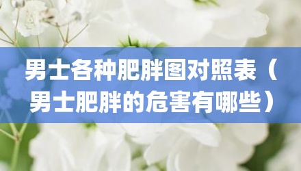 男士各种肥胖图对照表（男士肥胖的危害有哪些）