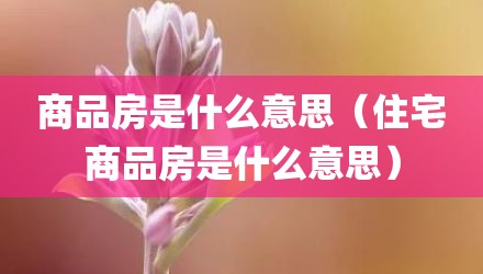 商品房是什么意思（住宅商品房是什么意思）