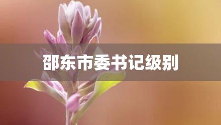 邵东市委书记级别