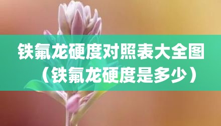 铁氟龙硬度对照表大全图（铁氟龙硬度是多少）