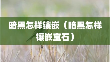 暗黑怎样镶嵌（暗黑怎样镶嵌宝石）