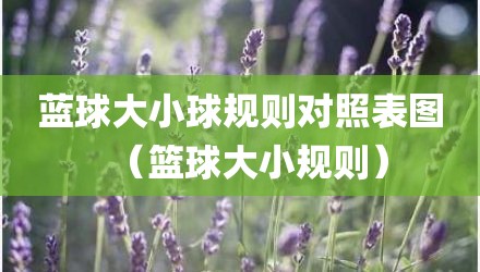 蓝球大小球规则对照表图（篮球大小规则）