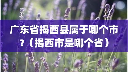 广东省揭西县属于哪个市?(揭西市是哪个省)