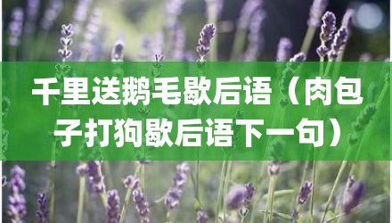 千里送鹅毛歇后语（肉包子打狗歇后语下一句）