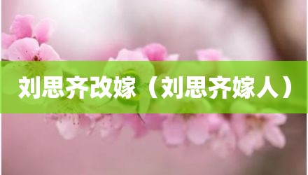 刘思齐改嫁（刘思齐嫁人）