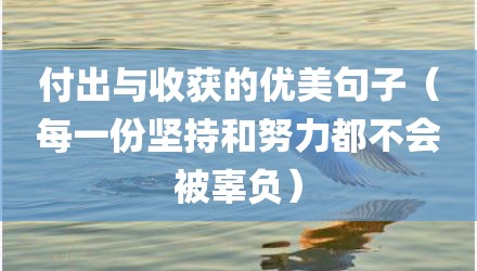 付出与收获的优美句子（每一份坚持和努力都不会被辜负）