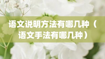 语文说明方法有哪几种（语文手法有哪几种）