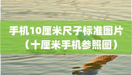 手机10厘米尺子标准图片(十厘米手机参照图)