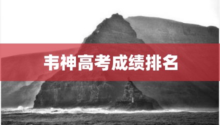 韦神高考成绩排名
