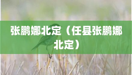 张鹏娜北定（任县张鹏娜北定）