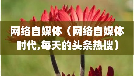 网络自媒体（网络自媒体时代,每天的头条热搜）