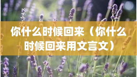 你什么时候回来（你什么时候回来用文言文）