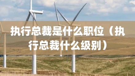 执行总裁是什么职位（执行总裁什么级别）