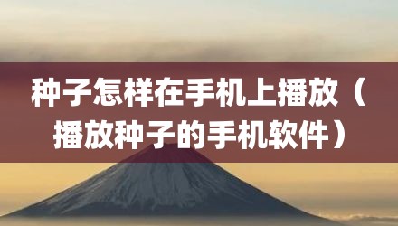 种子怎样在手机上播放（播放种子的手机软件）
