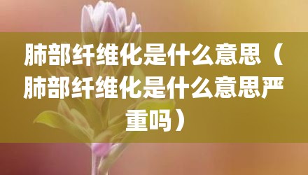 肺部纤维化是什么意思（肺部纤维化是什么意思严重吗）