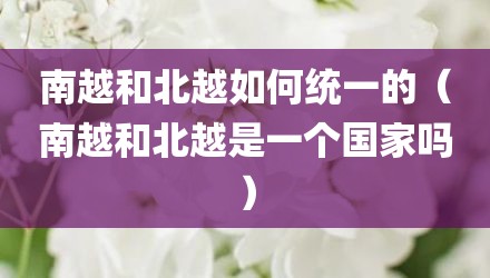 南越和北越如何统一的(南越和北越是一个国家吗)