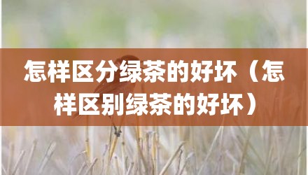 怎样区分绿茶的好坏（怎样区别绿茶的好坏）