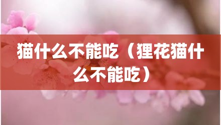 猫什么不能吃（狸花猫什么不能吃）
