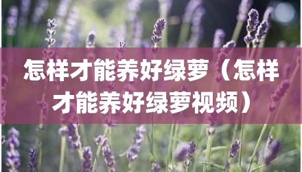 怎样才能养好绿萝（怎样才能养好绿萝视频）