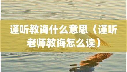 谨听教诲什么意思（谨听老师教诲怎么读）