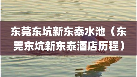 东莞东坑新东泰水池(东莞东坑新东泰酒店历程)