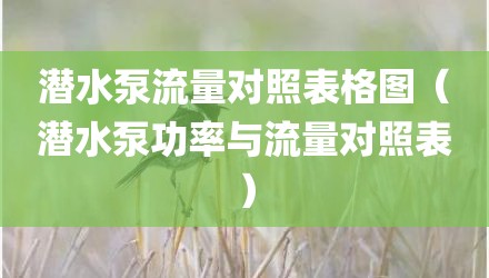 潜水泵流量对照表格图(潜水泵功率与流量对照表)