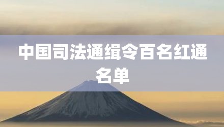 中国司法通缉令百名红通名单